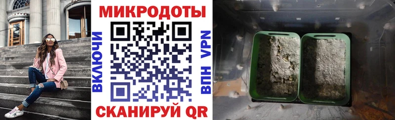 Псилоцибиновые грибы Psilocybe  Купить где  Медвежьегорск 